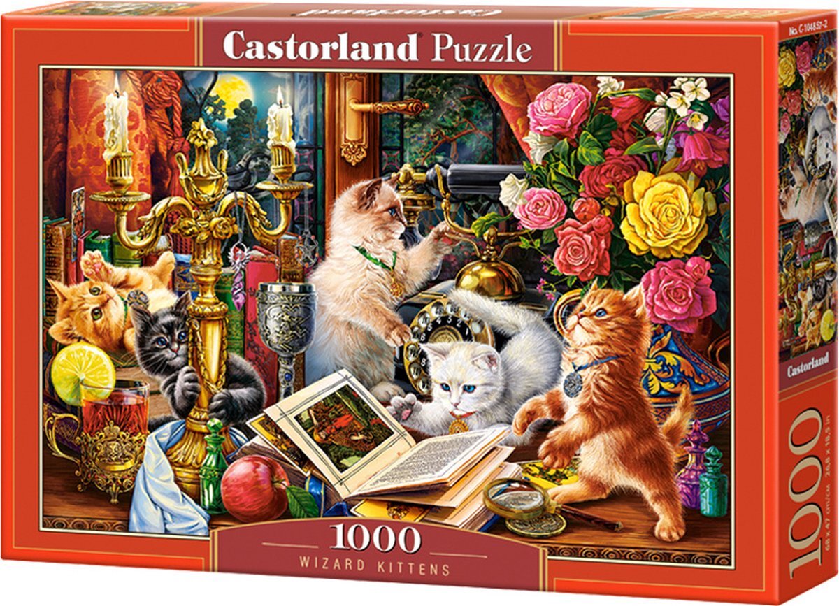 Castorland Wizard Kittens Puzzel 1000 Stukjes