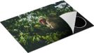 Chefcare Inductie Beschermer Aap in de Boom tussen de Bladeren - 75x50 cm - Inductie Mat