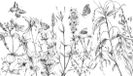 Komar Colours Fotobehang Butterfly Field - Behang - Inclusief Lijm - 400 x 250 CM