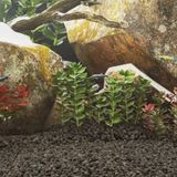 VidaXL Lavastenen 10 kg 1-2 cm zwart
