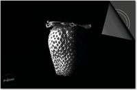 Dietrix Inductie Beschermer - 77x51 cm - Groente en Fruit - Aardbei op zwart