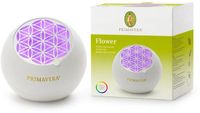 Primavera Aroma fan flower 1 Stuks