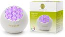 Primavera Aroma fan flower 1 Stuks