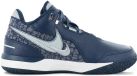 Nike Zoom LeBron NXXT Gen AMPD - First Game - Baskets pour hommes Bleu FJ1566-400