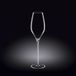 Wilmax WL-888104/2C champagnefluit, 300 ml capaciteit, 2 stuks