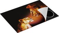 Chefcare Inductie Beschermer Leeuw en Leeuwin - Multicolor - 75x50 cm