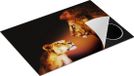 Chefcare Inductie Beschermer Leeuw en Leeuwin - Multicolor - 75x50 cm