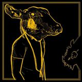 Proper S&D Consignment Shakey Graves Roll The Bones X