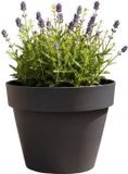 EDA Romeo Bloempot / plantenpot - kunststof - antraciet - D21 x H16 cm - binnen en buiten