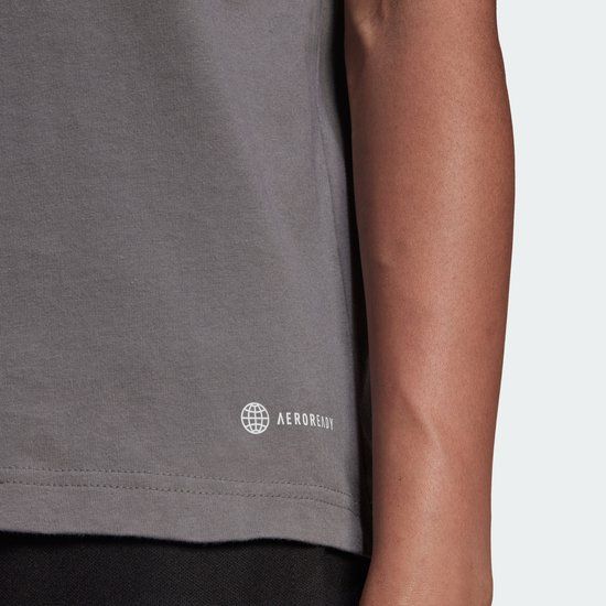 adidas Performance Entrada 22 T-shirt Dames Grijs S