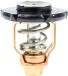 Sierra Yamaha Thermostat 6fp-12411-00-00 Or