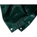 Siena Garden PE-beschermzeil groen 4x 6m groen