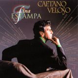 Caetano Verve Fina Estampa