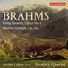 PIAS Nederland Chandos Records Michael Collins, Brodsky Quartet - Brahms: String Quartet/Clarinet Quintet (CD)