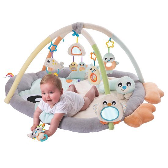 Playgro Babygym PenquÃ¯n met buikligkussen