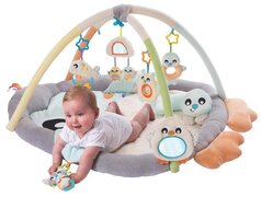 Playgro Babygym PenquÃ¯n met buikligkussen