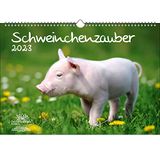 Schwkentauber KN2023-3W-0049-D-0, DIN A3-kalender voor 2023 varkentjes - Seelenzauber, meerkleurig