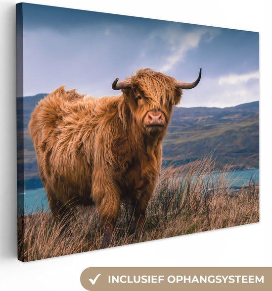 OneMillionCanvasses Canvas schilderij 160x120 cm - Schotse Hooglander - Natuur - Rechthoek