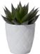 Form Plastic Plantenpot/bloempot New Age - Kunststof - Ivoorwit - D17 x H15 cm - Rond
