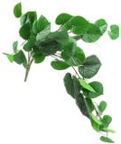 Merkloos Kunstplant steker/hang Dioscorea fr Countryfield