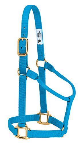 Weaver Leather Original Non-Adjustable Nylon Horse Halter, Hurricane Blue, Weanling/Pony