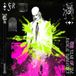 The Fever Ray - The Year Of The Radical Romantics (2 LP)