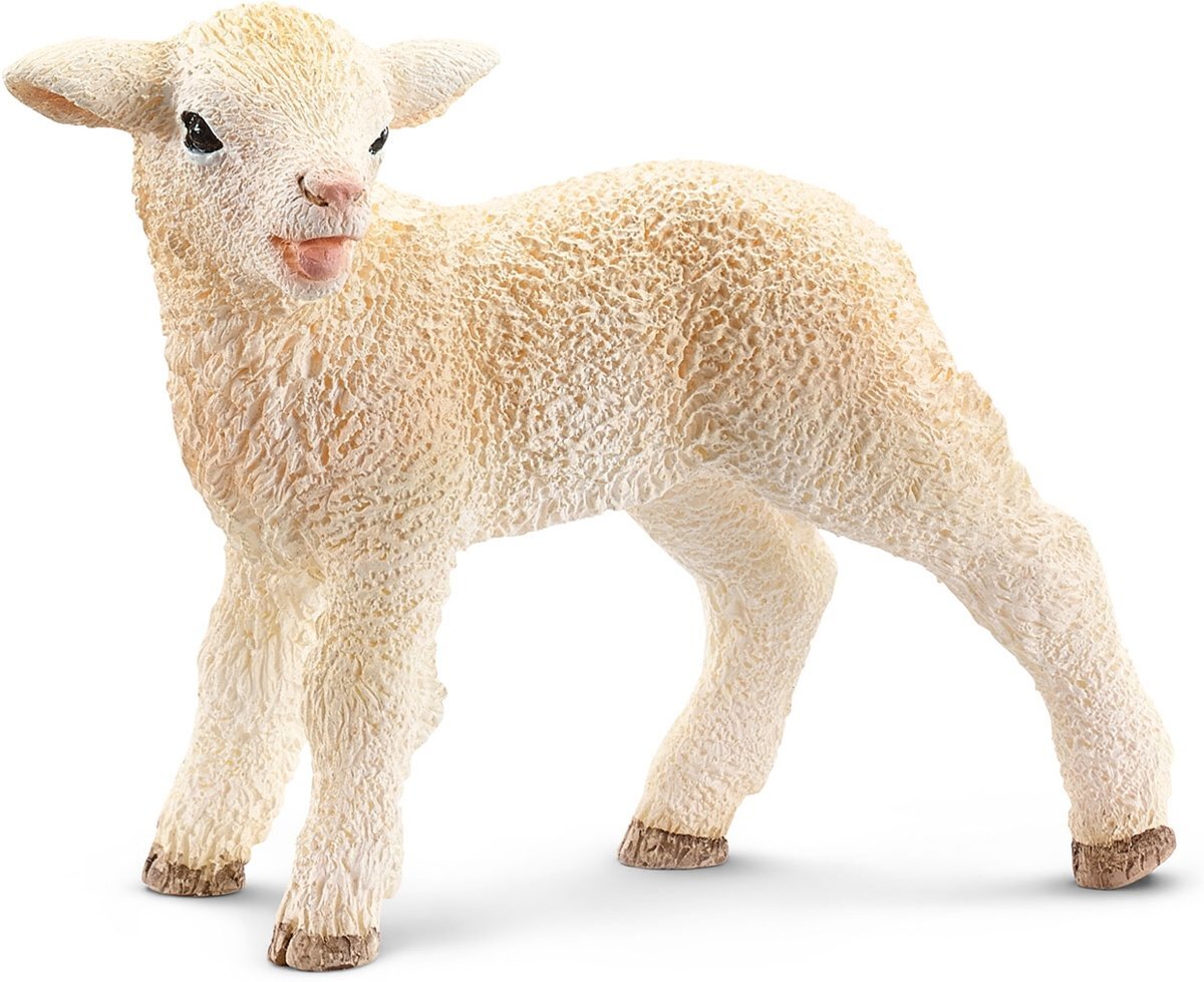 Schleich Lam 13744