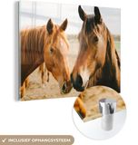 MuchoWow® Glass Painting 40x30 cm - Acrylic Glass Painting - Horse - Beach - Animals - Photo on Glass - Paintings