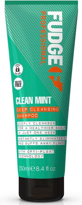 Fudge - Deep Cleansing Mint Shampoo - 250ml