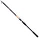 Shimano Fishing Sienna AR Tegt Glued Bolognese Hengel Goud 2.70 m / 10-30 g
