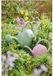 Decoris Gieter Kunststof 9 Liter Roze