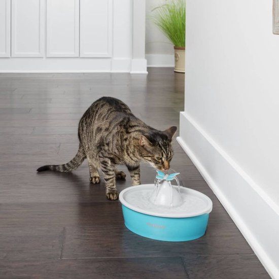 PetSafe Drinkwell Butterfly Pet Fountain - Drinkfontein voor katten - 1,5 liter