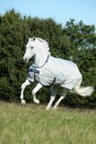 Bucas Sun Shower Zilver - 130/175