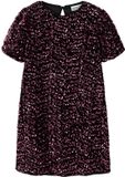 Name it Jurk Pailletten Catawba Grape