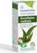 Esential Aroms Huile essentielle d'eucalyptus radiata 10 ml