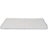 AniOne koelmat Ice M