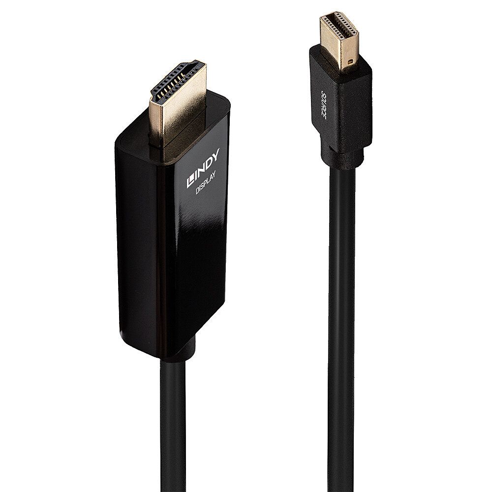 Lindy 36927 DisplayPort naar HDMI Adapter Kabel Zwart