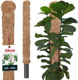 KOTARBAU® Kokosstok, Plantenstok, ⌀ 3,2 x 50 cm, Kokosstaaf, Klimhulp Monstera, Bruin, Kokosvezel