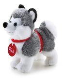 Trudi Trudini Husky Small