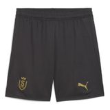 PUMA Stade Reims herenshorts, grijs/goud