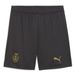PUMA Stade Reims herenshorts, grijs/goud