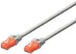 Ewent UTP Category 6 Rigid Network Cable (3 m)