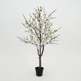 Decostar Countryfield Kunstplant Prunus Sakura – Wit – Ø100 cm – Hoogte 180 cm