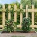 vidaXL Plantenstaken 30 st 90 cm staal groen