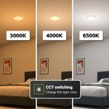 HOFTRONIC™ LED Plafondlamp rond - CCT Lichtkleur instelbaar (3000K, 4000K & 6500K) - 18W 1820 lumen (101lm/w) - Ø31 cm - IP20 stofdicht