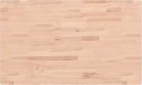 vidaXL Wastafelblad - 100x60x4 cm - Massief Beukenhout