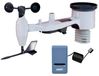 Merkloos ECOWITT GW1101 868 MHz Weerstation