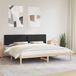 vidaXL Bedframe met gestoffeerd hoofdeinde, zwart, 200 x 200 cm