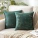 Goodivery ® Set de 2 housses de coussin en velours, 40x40 cm, Vert