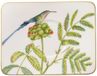 Villeroy & Boch Kaffeeuntertasse Amazonia 17 x 14 cm